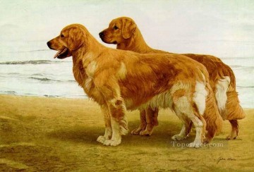 ami0034D1 animal dog Oil Paintings